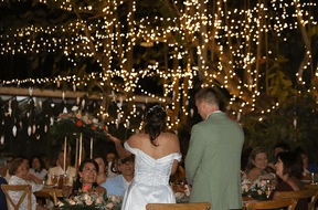 Beautiful decoration for an unforgettable wedding ceremony